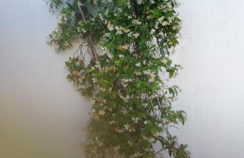 Casa do Jardim - Foto 39