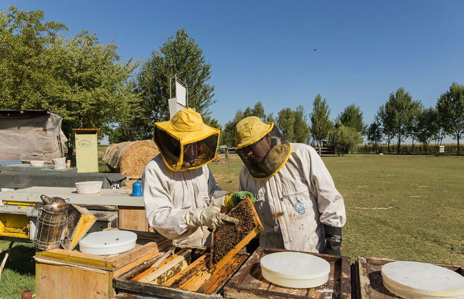 L'Antico Casale dei Sogni - Foto 29