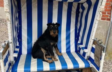 Ferienhaus Waldschlösschen - Foto 14