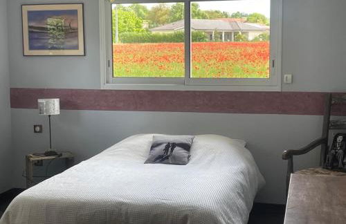 Le Jacquéron - Foto 1