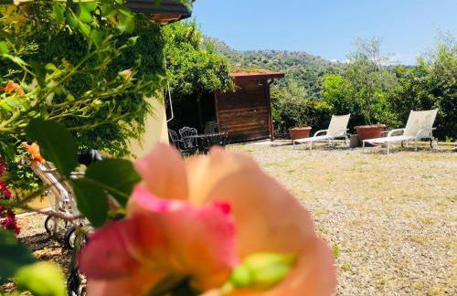 Casa Marietta - Foto 11