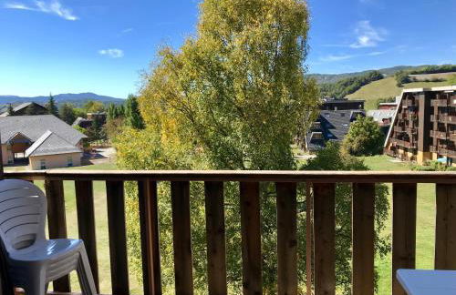 La Source Blanche Saint Jean Montclar - Foto 8