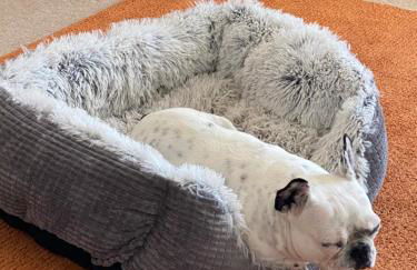 Beach view apartments - Foto 12