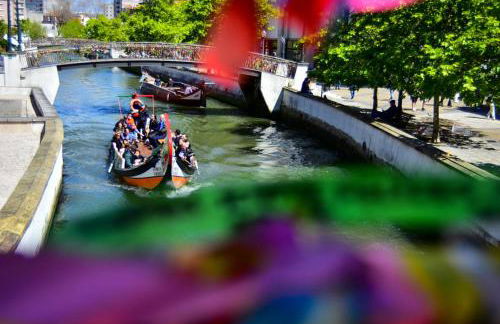 Sal, Terra e Mar - Foto 26