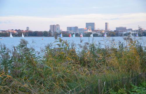 Sommerhaus in den Walddörfern - Foto 17