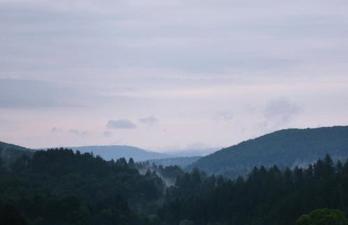 Domki w Bieszczadach Nowa Zelandia - Photo 31