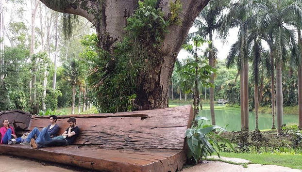 Escursione all'Istituto Inhotim - Foto 2