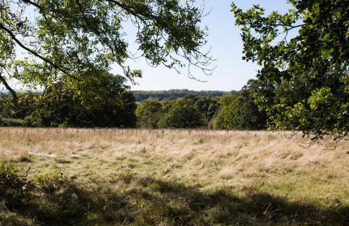 Ravenclaw Hall - Foto 15