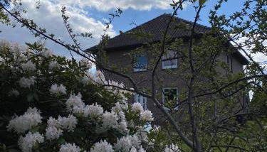 Heidequartier Ferienwohnung - Foto 4