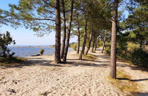 Maison confortable à Hourtin 33 m² avec terrasse - Foto 15