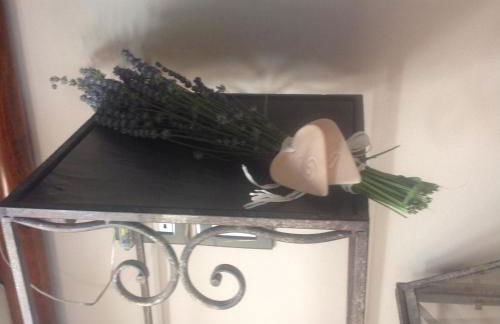 Corte Motte - Photo 14