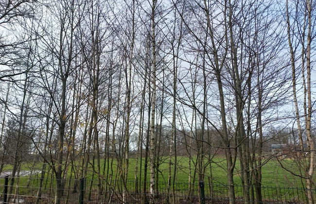 Comfortable Holiday Home With hot tub - Foto 17