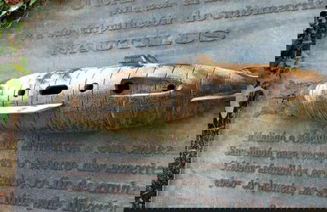 San Simón Island Excursion - Photo 6