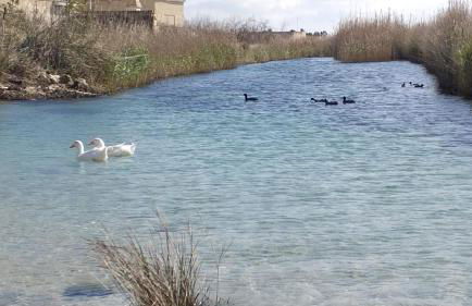 Case Vacanza Dimo Dimira - SALENTO & RELAX - Foto 34