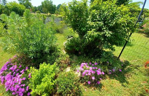 Apartman Marija - Foto 45