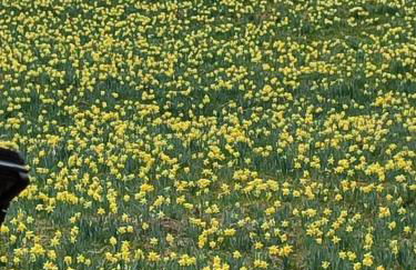 Appartement du Pré Nouveau - Foto 14