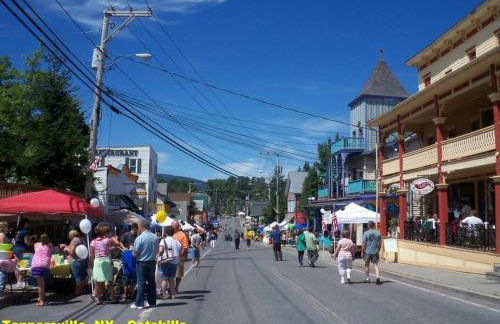Hunter Mountain Slope Side Home - Foto 19