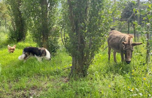 Cerqua Rosara Residence - Foto 58