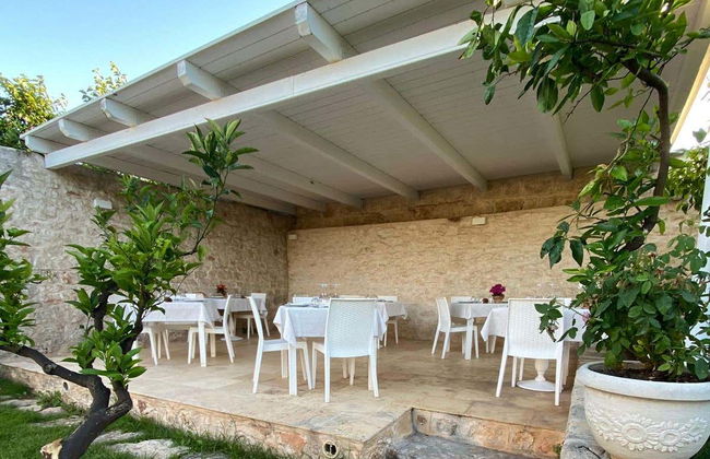 Olive Oil Tasting - Foto 7