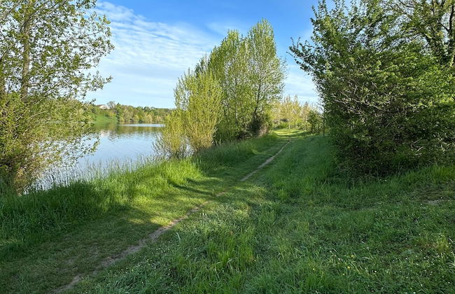 L'Annexe Coté Castagne du Domaine des Hauts de Rouquette - Foto 14