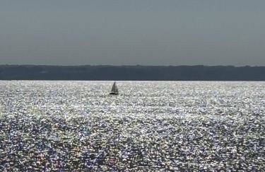 ILE AUX MOINES - T3 - exceptionnel - Foto 22