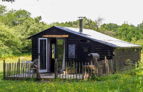 The Old Apple Shed cosy heated cottage in a meadow close to the charming village of Bethersden - Foto 1