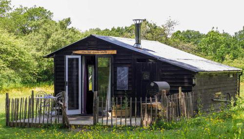 The Old Apple Shed cosy heated cottage in a meadow close to the charming village of Bethersden - Foto 1