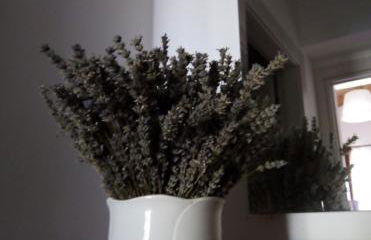 Agriturismo Terra dei Falchi - Foto 9