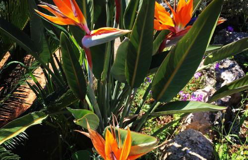 Athina's Stone House in Kardamyli - Foto 11