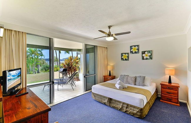 Hibiscus 006 - Foto 4