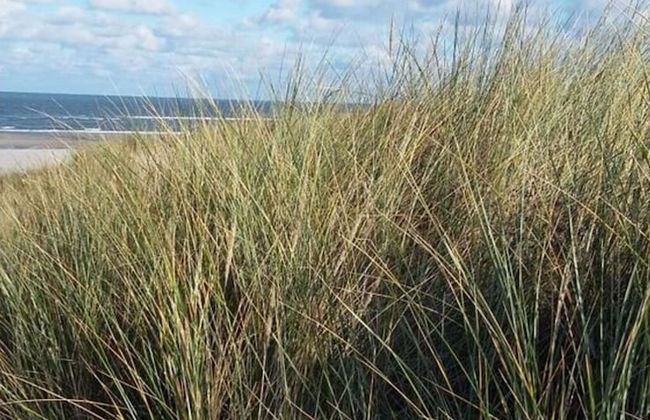 Holiday Apartment Storm Surge - Foto 5