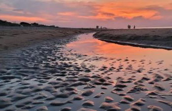 Sojourn Spacious Family Retreat with Fenced Backyard - Foto 33