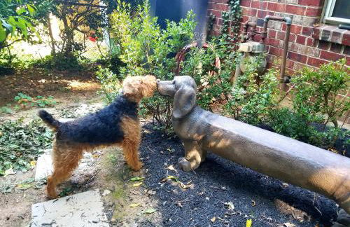 Private Retreat Apartment in DC - Foto 15