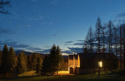 Korona Bieszczad Premium Apartments - Foto 8