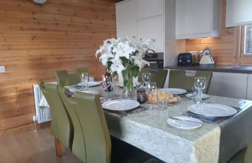 Fern Lodge - Luxury Lodge with steamroom in Perthshire - Photo 12