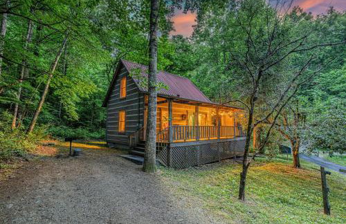 Smokies Cabin with Hot Tub and Arcade Games - Photo 49