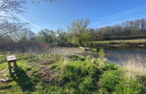 Ruhr-Wald-Blick - Foto 37