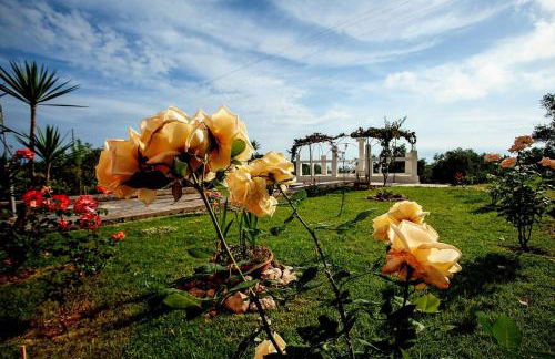 Andreas' Guest House - Foto 42