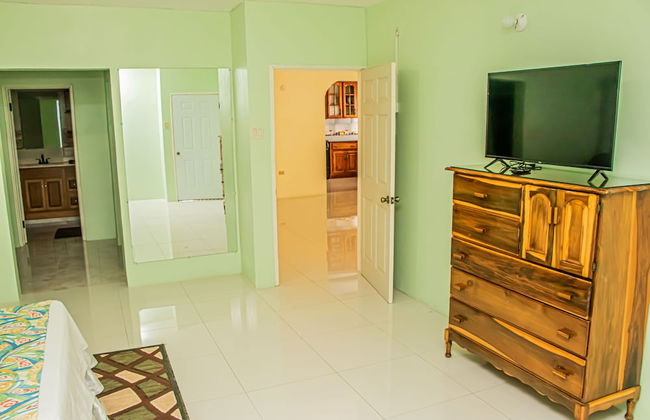 CARNATION 156 - Foto 3