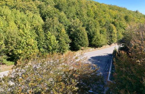 Edelweiss Apt29 - Foto 6