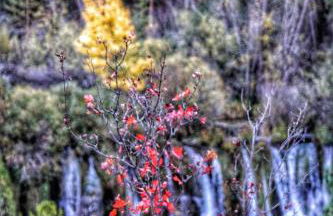 Fuente Del Arca - Foto 35