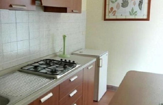 Gecko's House - Foto 10