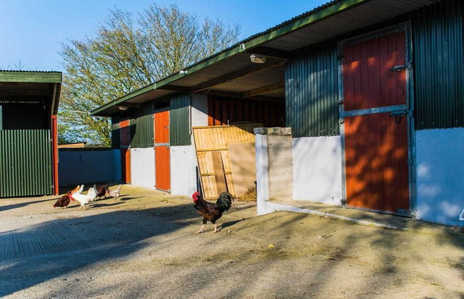 The Heights & Hollows Farmhouse - Foto 38