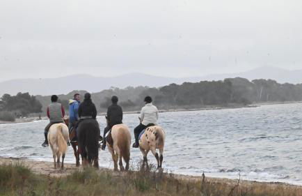 Entre mer et collines Appartement T2 - Foto 36