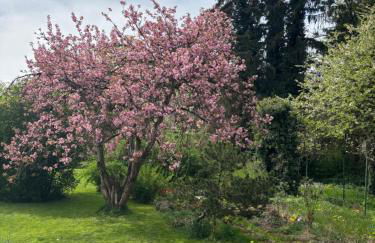 Villa Vilma Antica - Foto 13