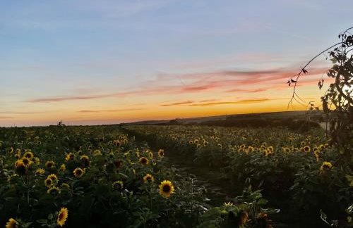 The Farmhouse - Foto 32