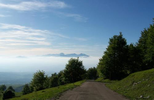 Il Canto degli Uccelli - Foto 19