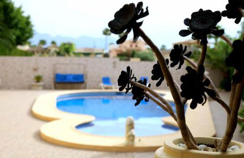 Villa Tres Palmeras en Alfaz del Pi , Albir, Benidorm - Photo 51