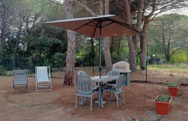 Riccio di Mare - Foto 18