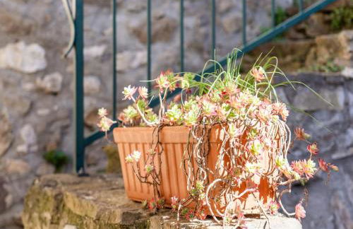 Vineyards & Village Stay - Foto 64